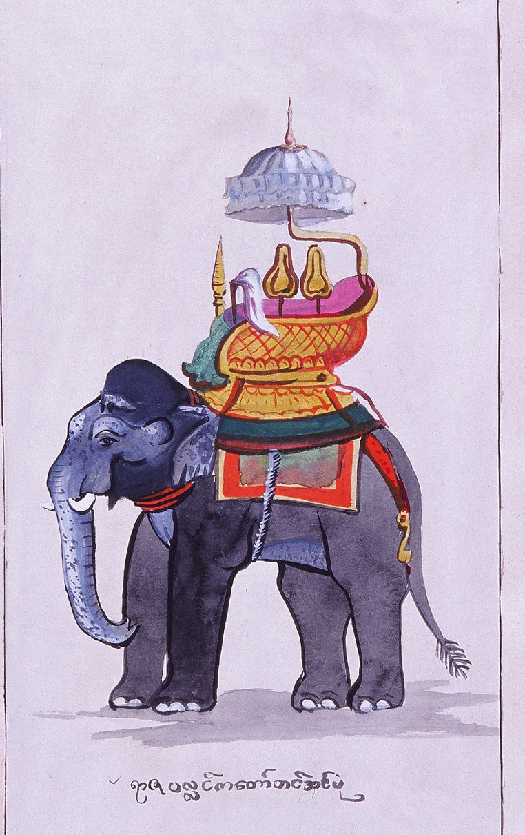 Royal Elephant - 4